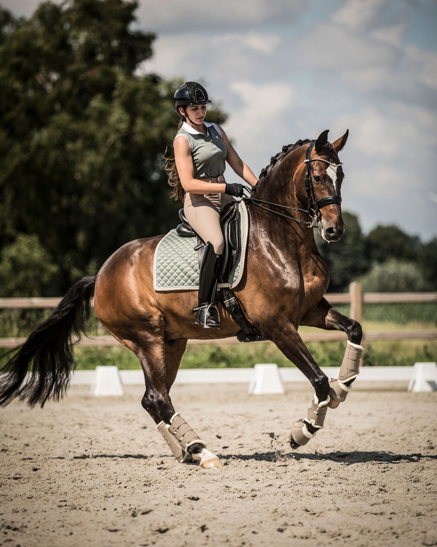 PSOS Dressage Bow, THYME