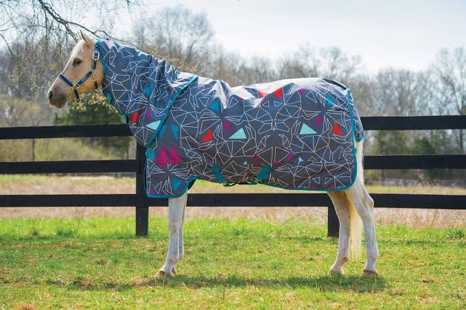 Amigo pony Plus