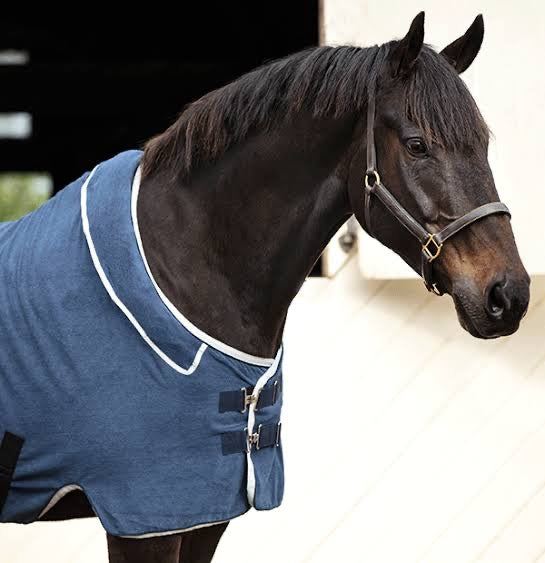 Rambo Dry Rug