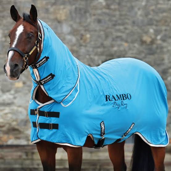 Rambo Supreme Dry Rug