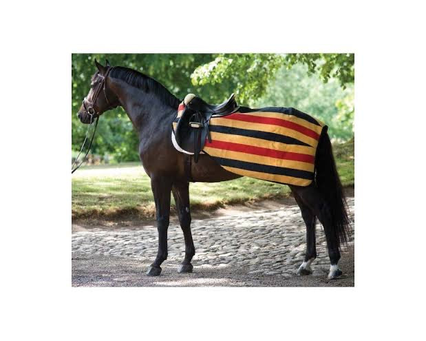Rambo Fleece Competition Sheet