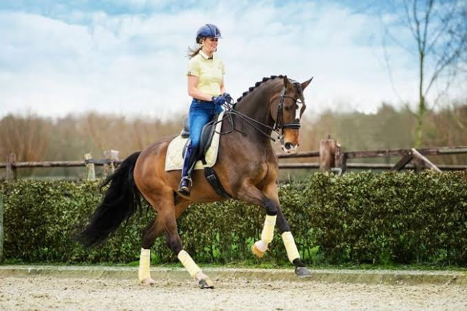 PSOS Vanilla Monogram Saddle Cloth