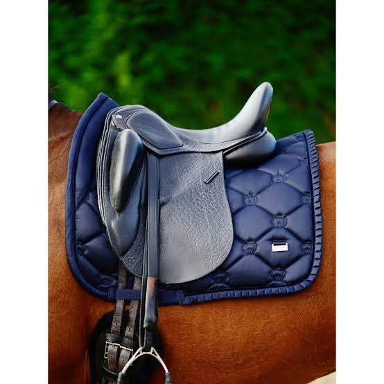 PSOS Ruffle, Navy