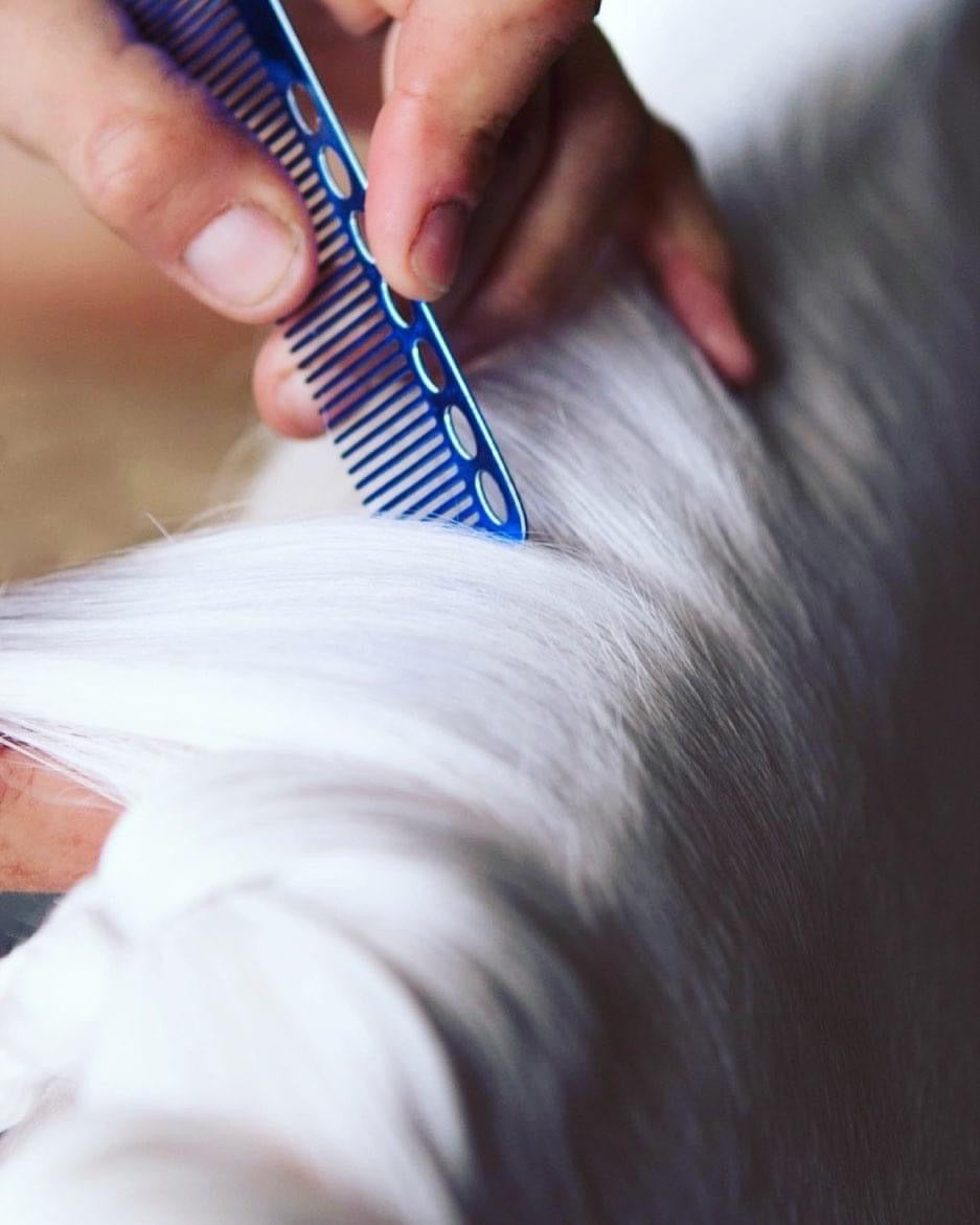 NTR Sectioning Comb