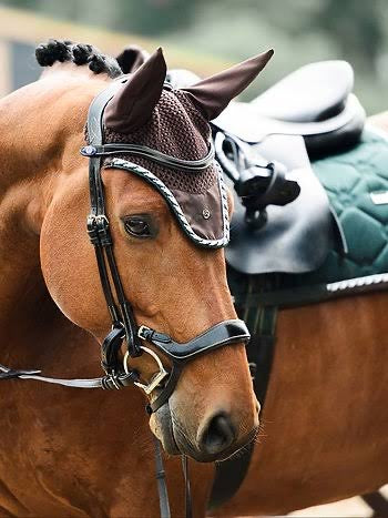 Ps of Sweden Ear Bonnets