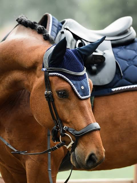 Ps of Sweden Ear Bonnets