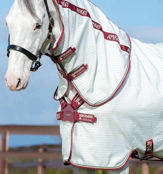 Amigo Aussie Allrounder DF