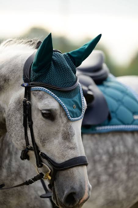 Ps of Sweden Ear Bonnets