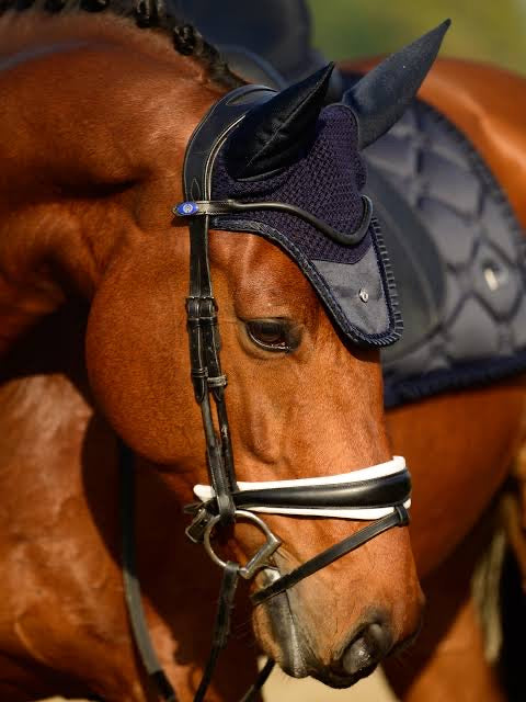 Ps of Sweden Ear Bonnets