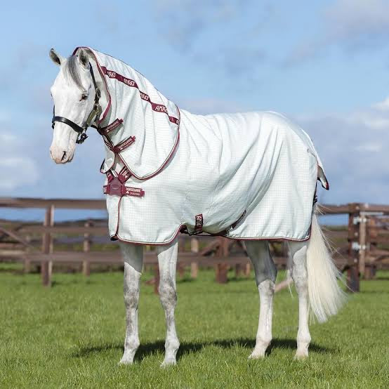 Amigo Aussie Allrounder DF