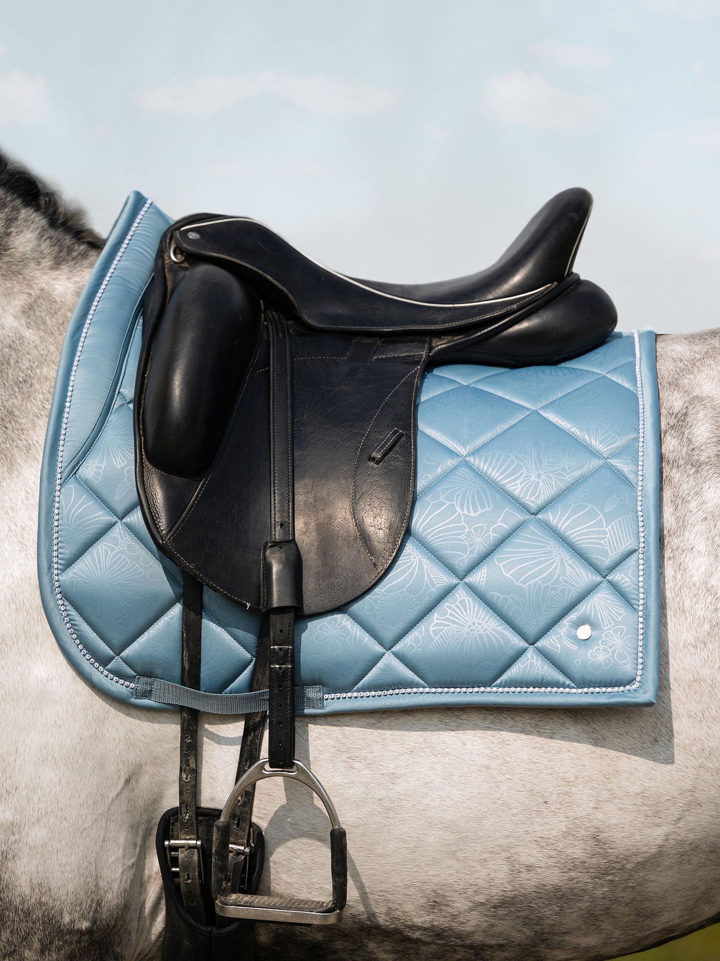 PSOS Aqua, FLORET, Dressage
