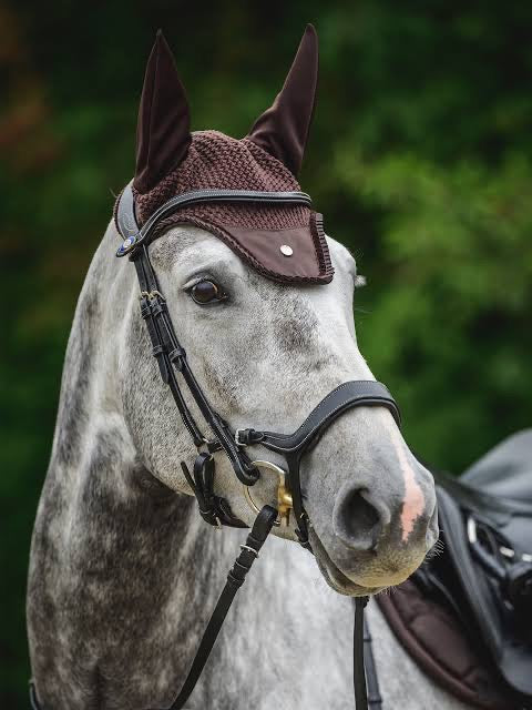Ps of Sweden Ear Bonnets