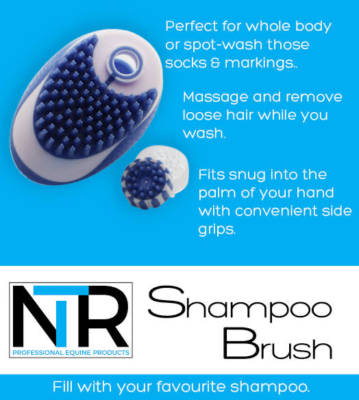 NTR Shampoo Brush
