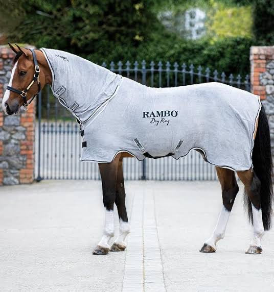 Rambo Dry Rug