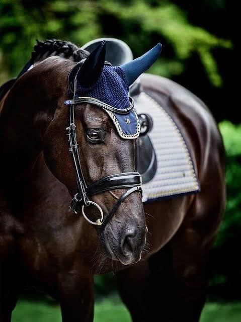 Ps of Sweden Ear Bonnets