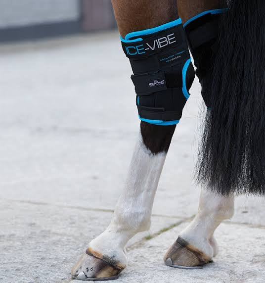 Ice-Vibe Hock Wraps