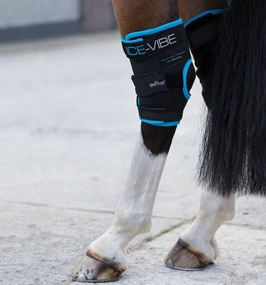 Ice-Vibe Hock Wraps