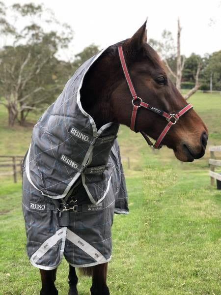 Rhino Plus Lite Turnout