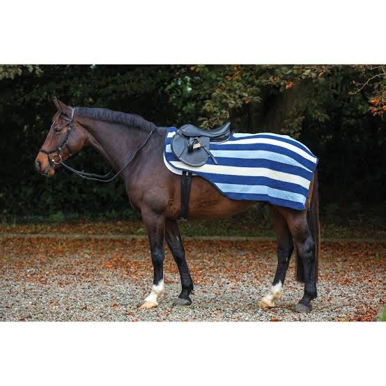 Rambo Fleece Competition Sheet