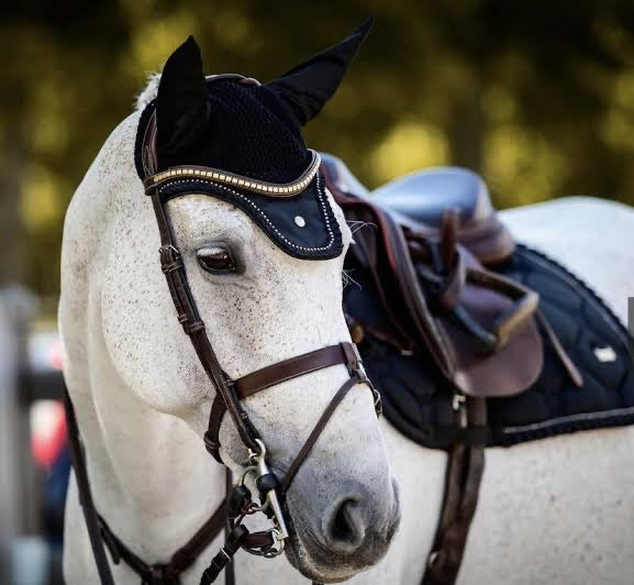 PSOS Ruffle Black Beluga saddle cloth