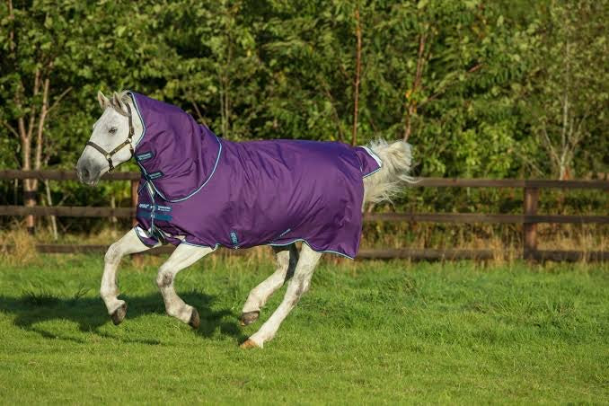 Amigo Bravo 12 Pony Plus Lite