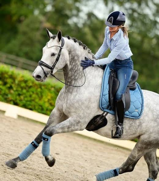 PSOS Sea Ruffle Dressage saddle cloth