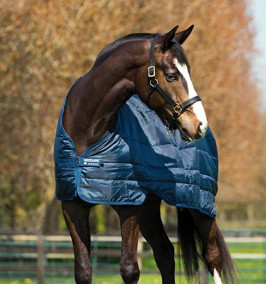 Horseware Liners 100g