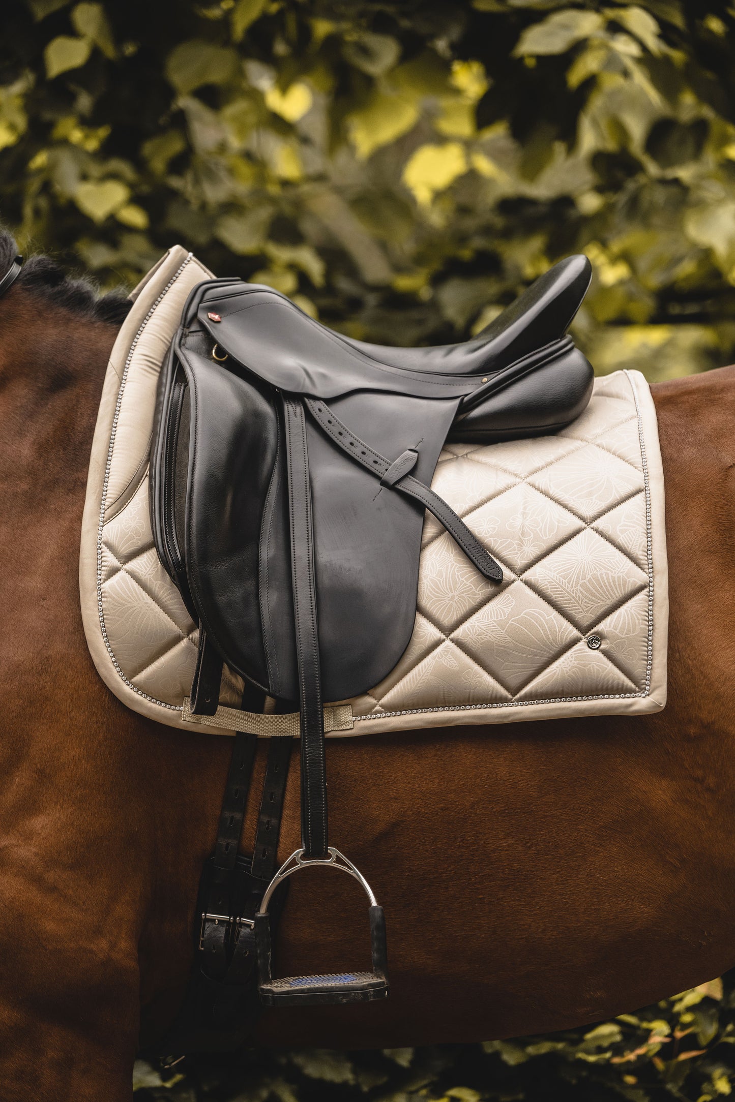 PSOS Floret, Sand Dressage